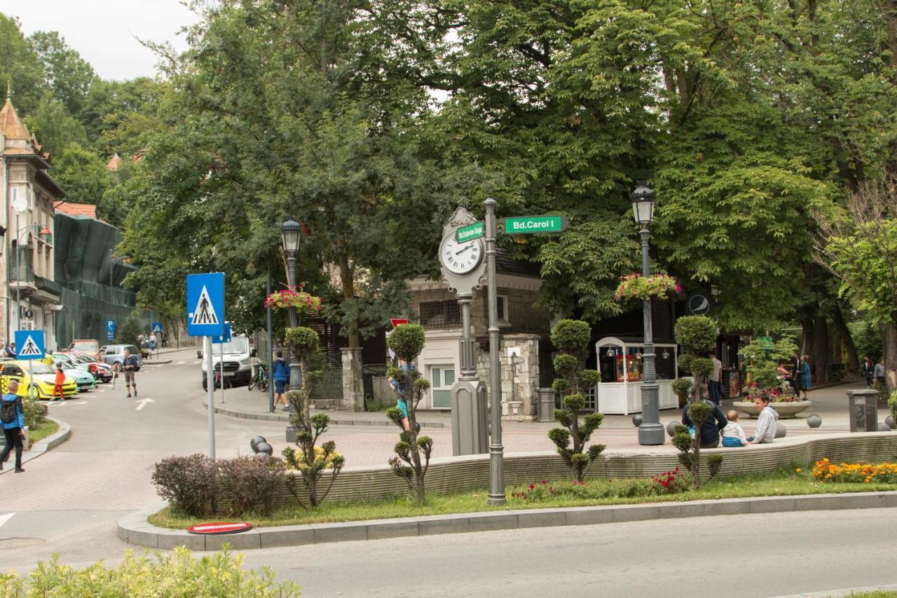 Downtown Park Loft Sinaia